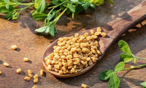 Fenugreek